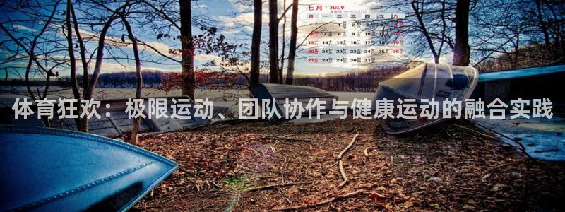 体育狂欢：极限运动、团队协作与健康运动的融合实践