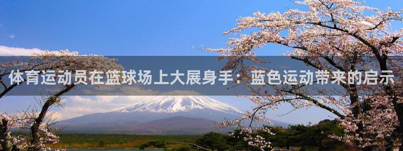 体育运动员在篮球场上大展身手：蓝色运动带来的启示